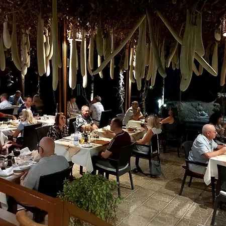 شقة Harmony Seaview بافوس